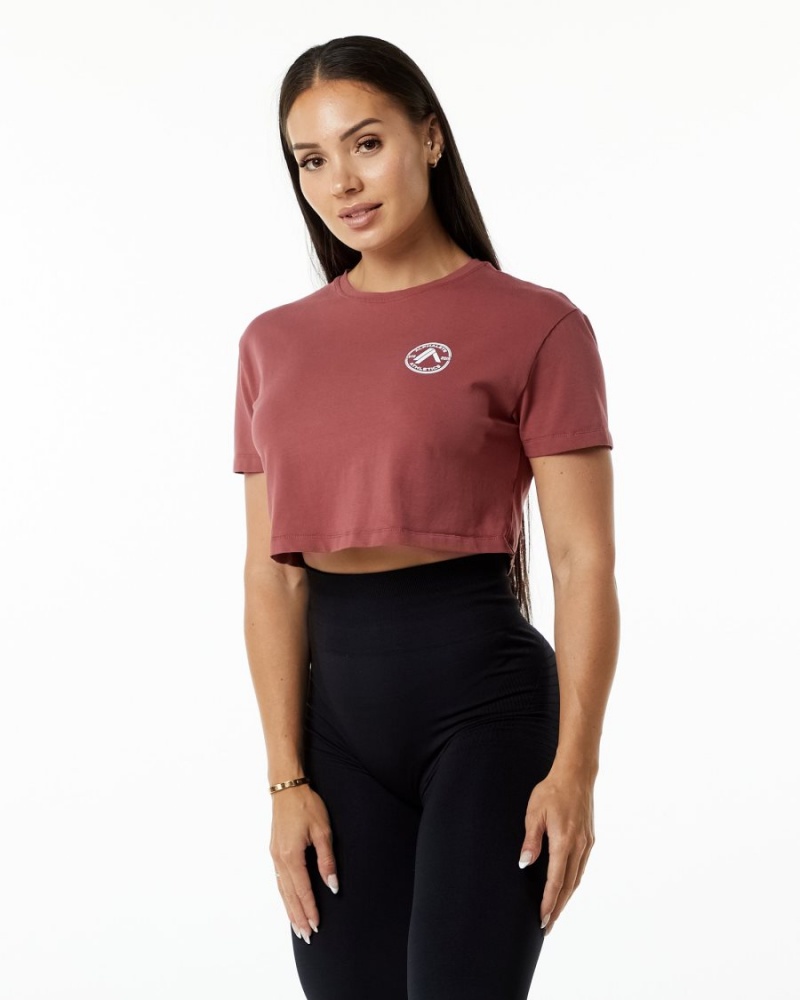 Chemises Alphalete Dynasty Crop Gingerbread Femme | MZH-67237732