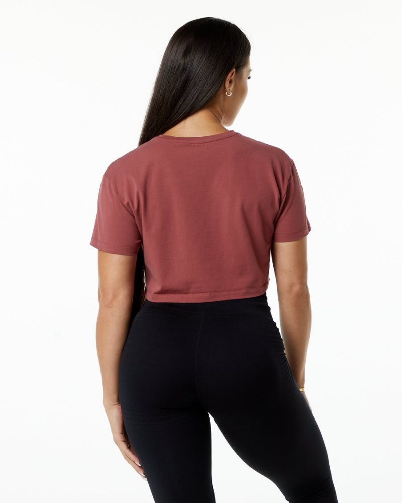 Chemises Alphalete Dynasty Crop Gingerbread Femme | MZH-67237732