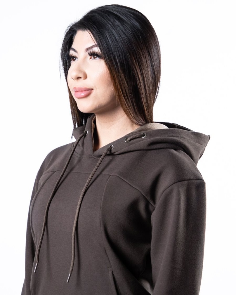 Sweat a Capuche Alphalete Monarch Hoodie Marron Foncé Femme | OHA-49482769