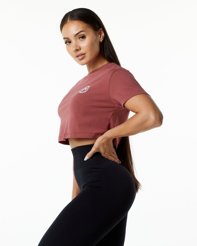 Chemises Alphalete Dynasty Crop Gingerbread Femme | MZH-67237732