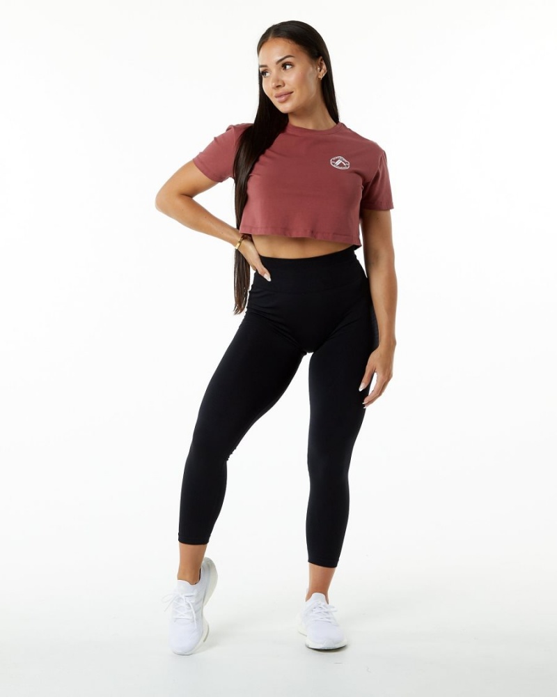 Chemises Alphalete Dynasty Crop Gingerbread Femme | MZH-67237732