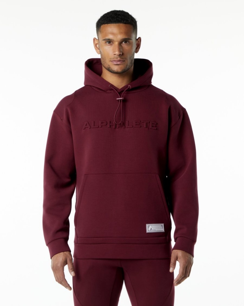 Sweat a Capuche Alphalete ELMTS Hoodie Bordeaux Homme | KGT-36175941