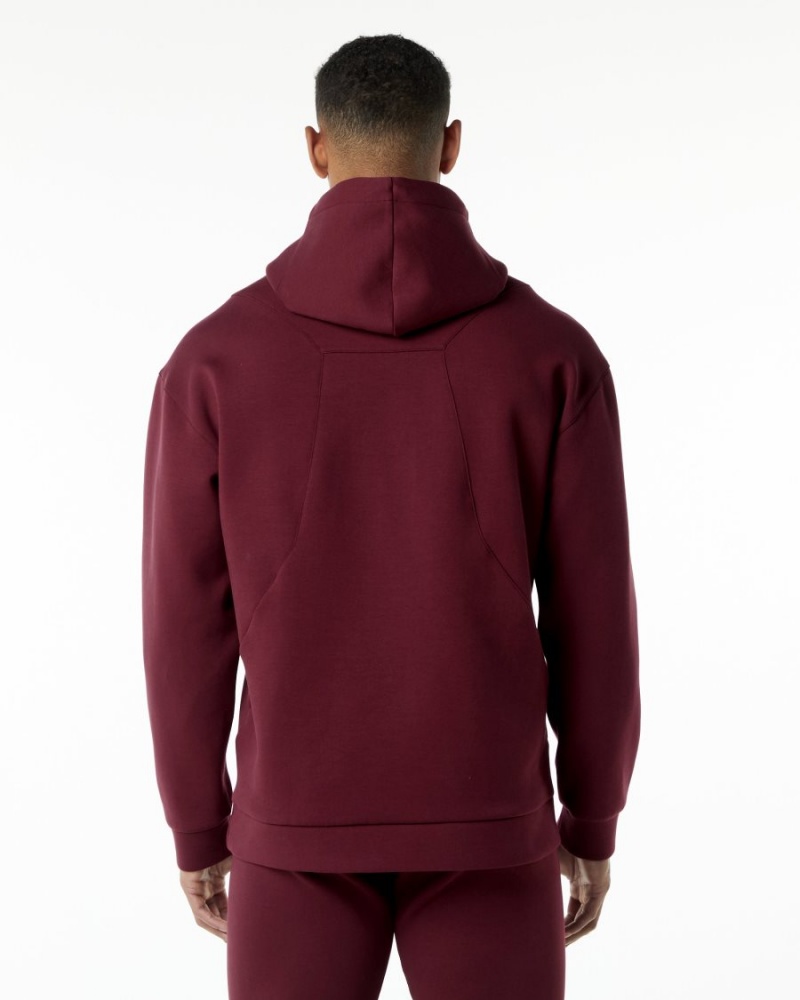 Sweat a Capuche Alphalete ELMTS Hoodie Bordeaux Homme | KGT-36175941