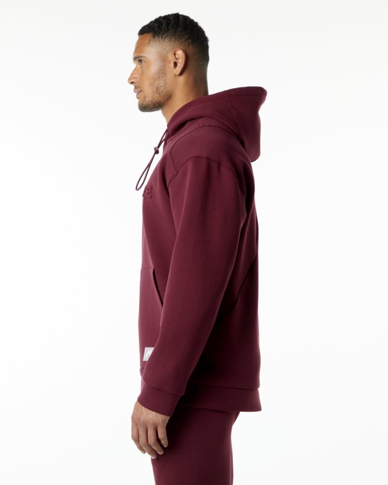 Sweat a Capuche Alphalete ELMTS Hoodie Bordeaux Homme | KGT-36175941