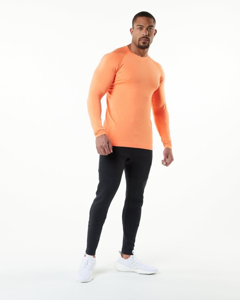 Chemises Alphalete Hero Long Sleeve Tee Faded Day Tripper Homme | SIL-77394894