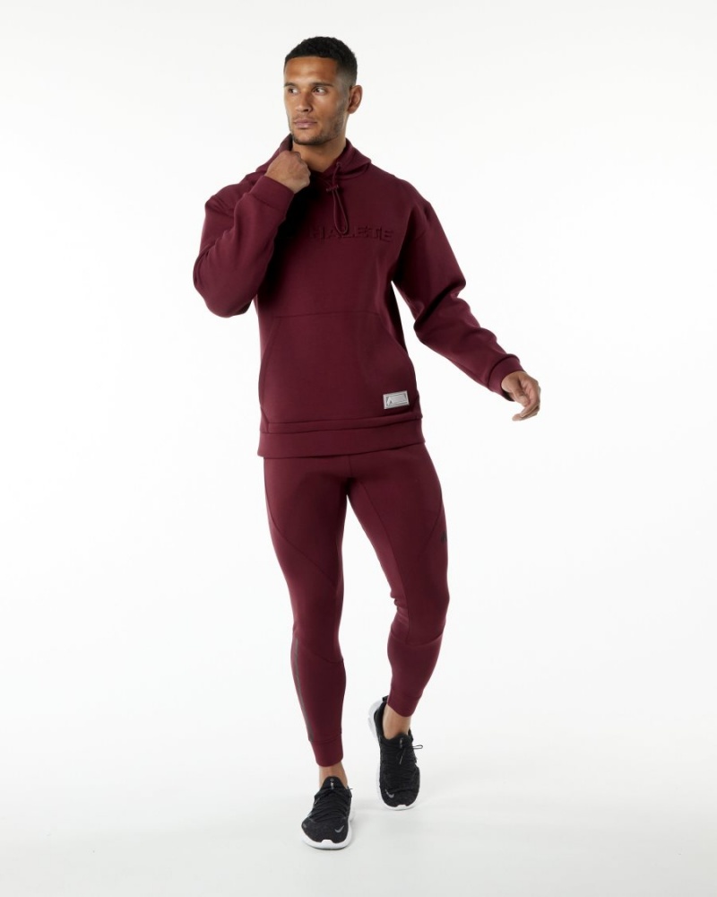 Sweat a Capuche Alphalete ELMTS Hoodie Bordeaux Homme | KGT-36175941