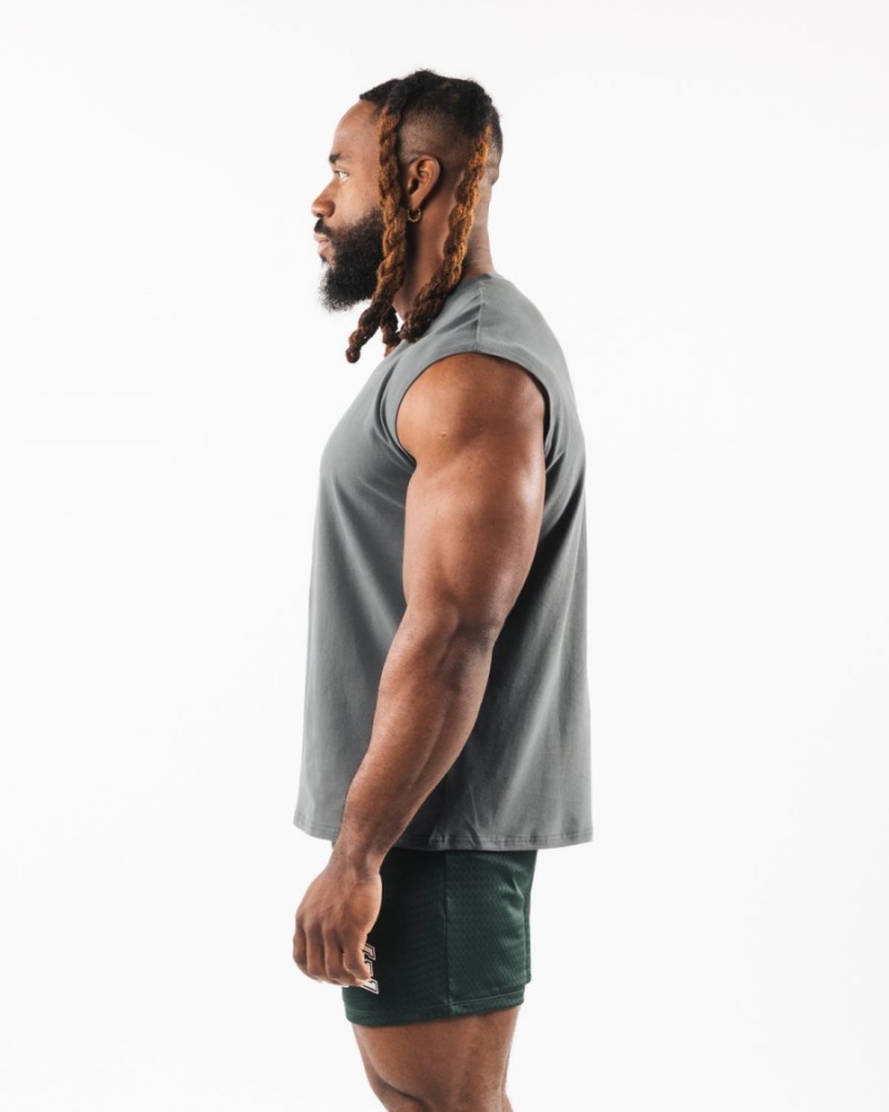 Debardeur Alphalete Brushed Wolf Head Muscle Tank Smoke Homme | DVY-80525738