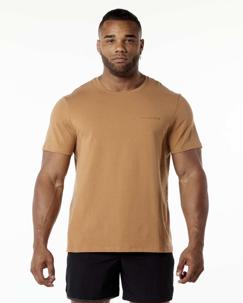 Chemises Alphalete Classiche Tee Rust Homme | GMH-36827247