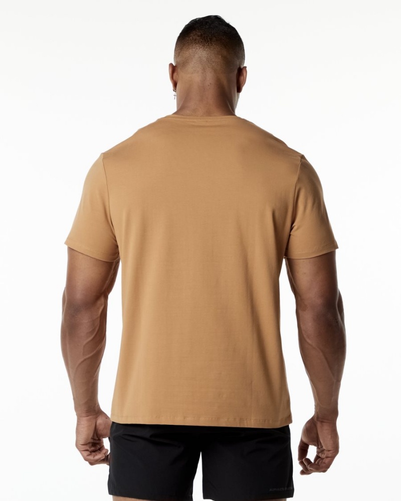 Chemises Alphalete Classiche Tee Rust Homme | GMH-36827247