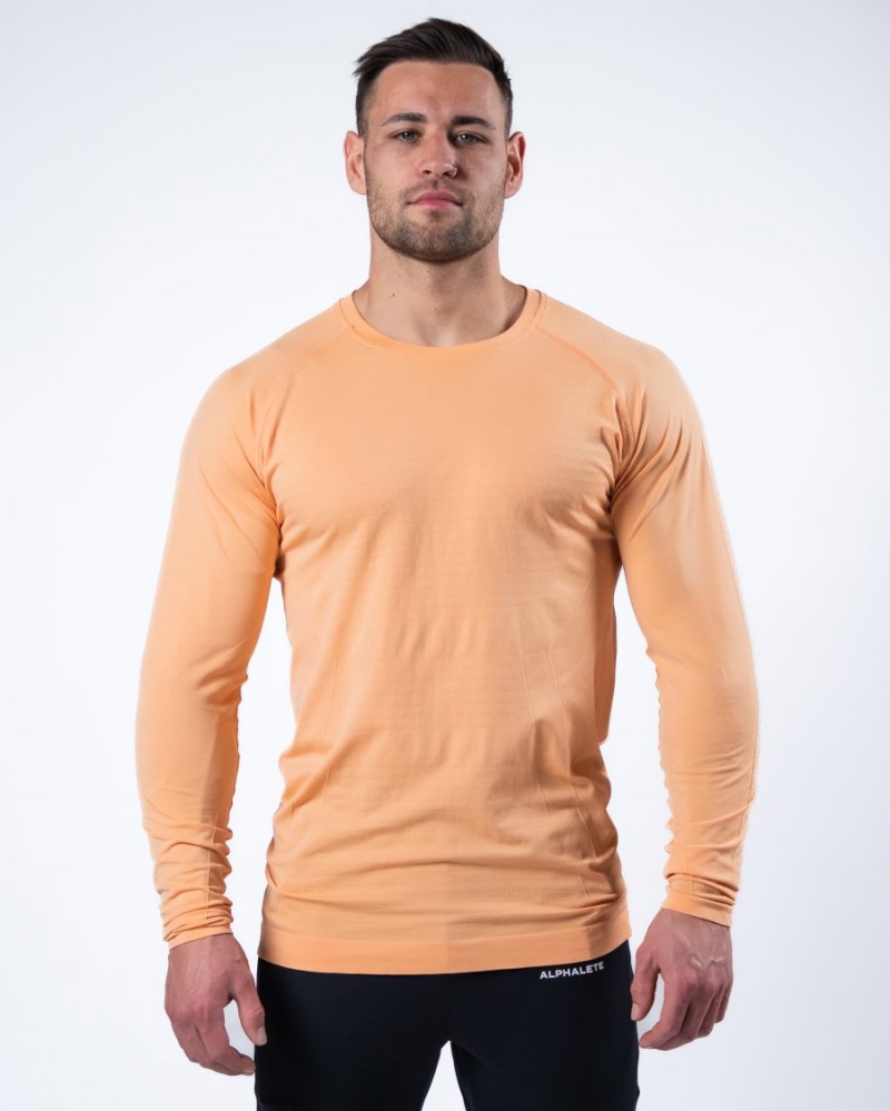 Chemises Alphalete Hero Long Sleeve Tee Corail Homme | HMY-86399340