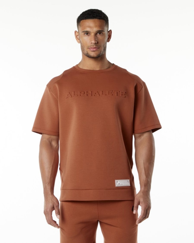 Vestes Alphalete ELMTS Half Sleeve Pullover Brick Homme | QXA-04993807