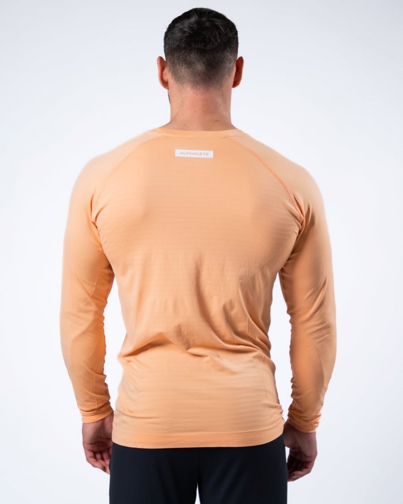 Chemises Alphalete Hero Long Sleeve Tee Corail Homme | HMY-86399340