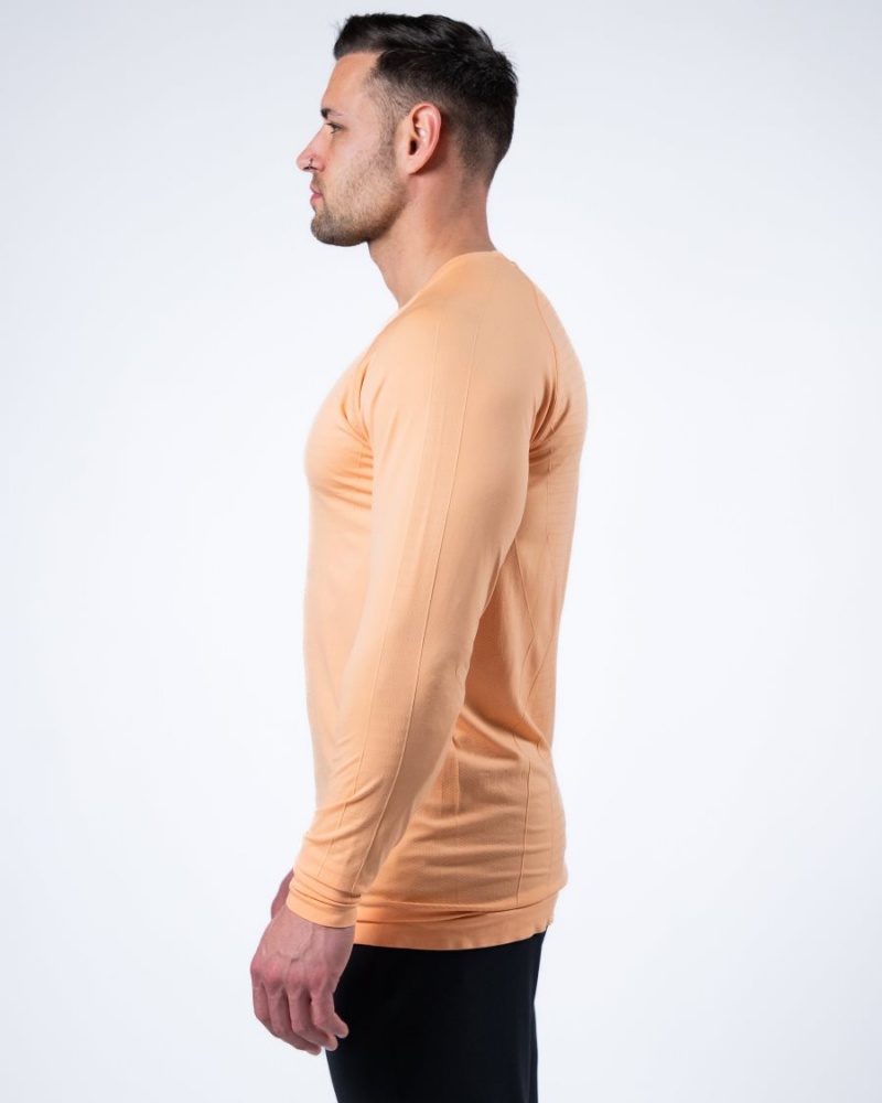 Chemises Alphalete Hero Long Sleeve Tee Corail Homme | HMY-86399340