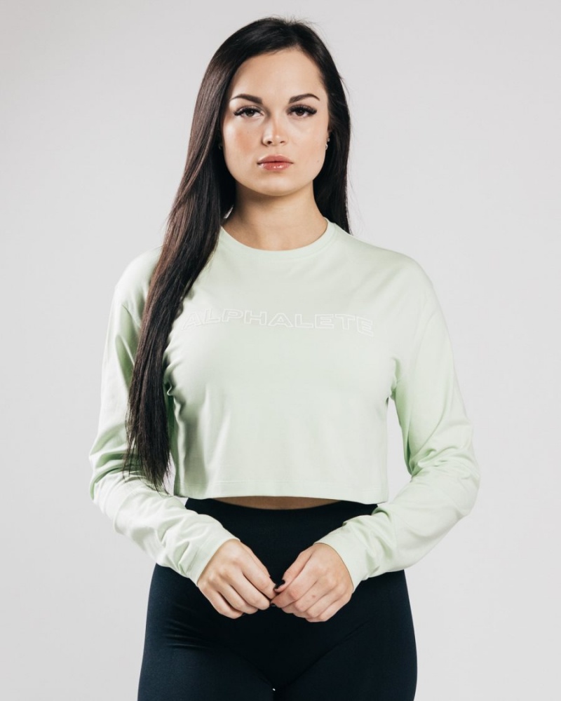 Manches Longues Alphalete Outlined Long Sleeve Crop Frozen Spring Femme | JLP-03830786