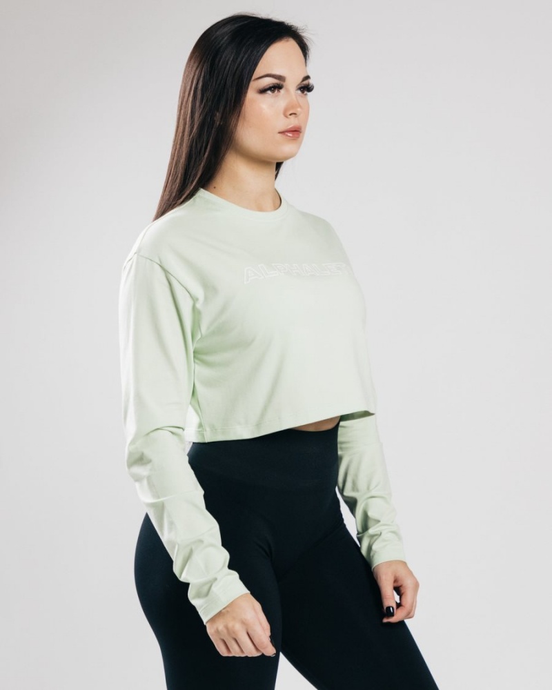 Manches Longues Alphalete Outlined Long Sleeve Crop Frozen Spring Femme | JLP-03830786