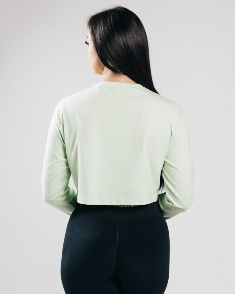 Manches Longues Alphalete Outlined Long Sleeve Crop Frozen Spring Femme | JLP-03830786