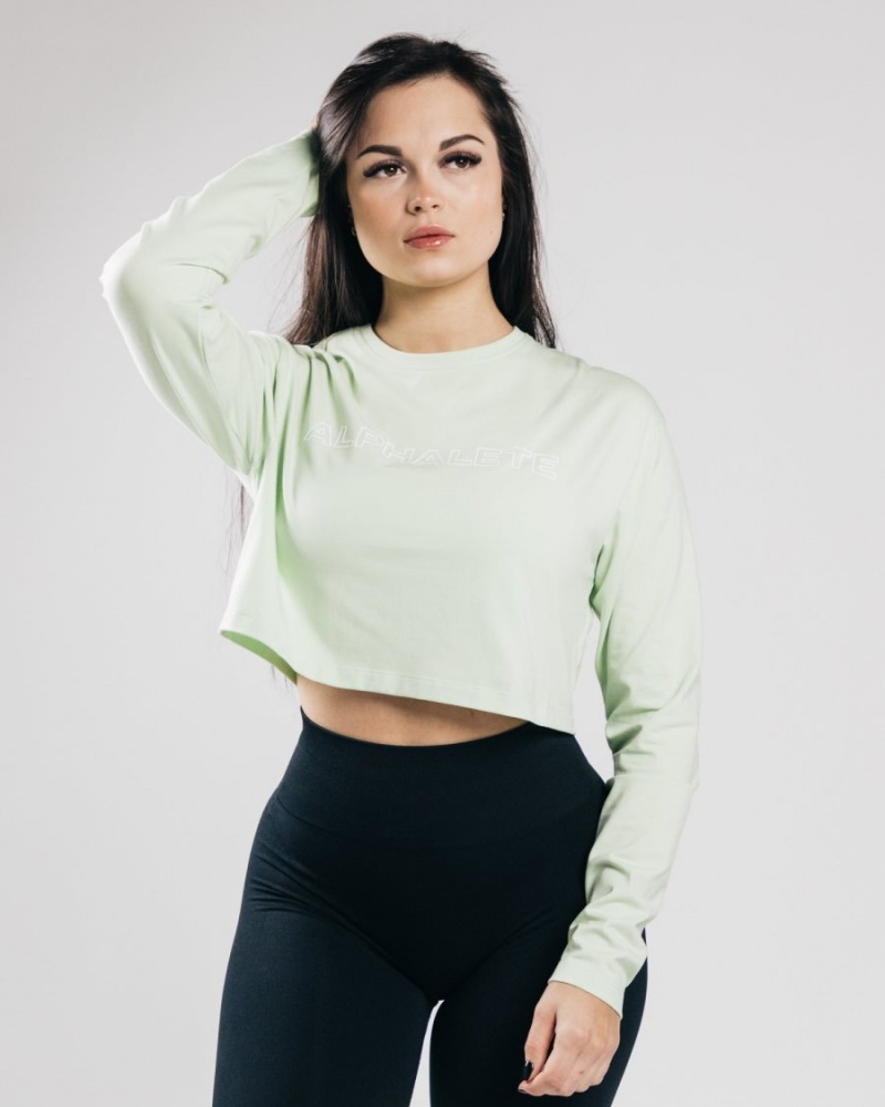 Manches Longues Alphalete Outlined Long Sleeve Crop Frozen Spring Femme | JLP-03830786