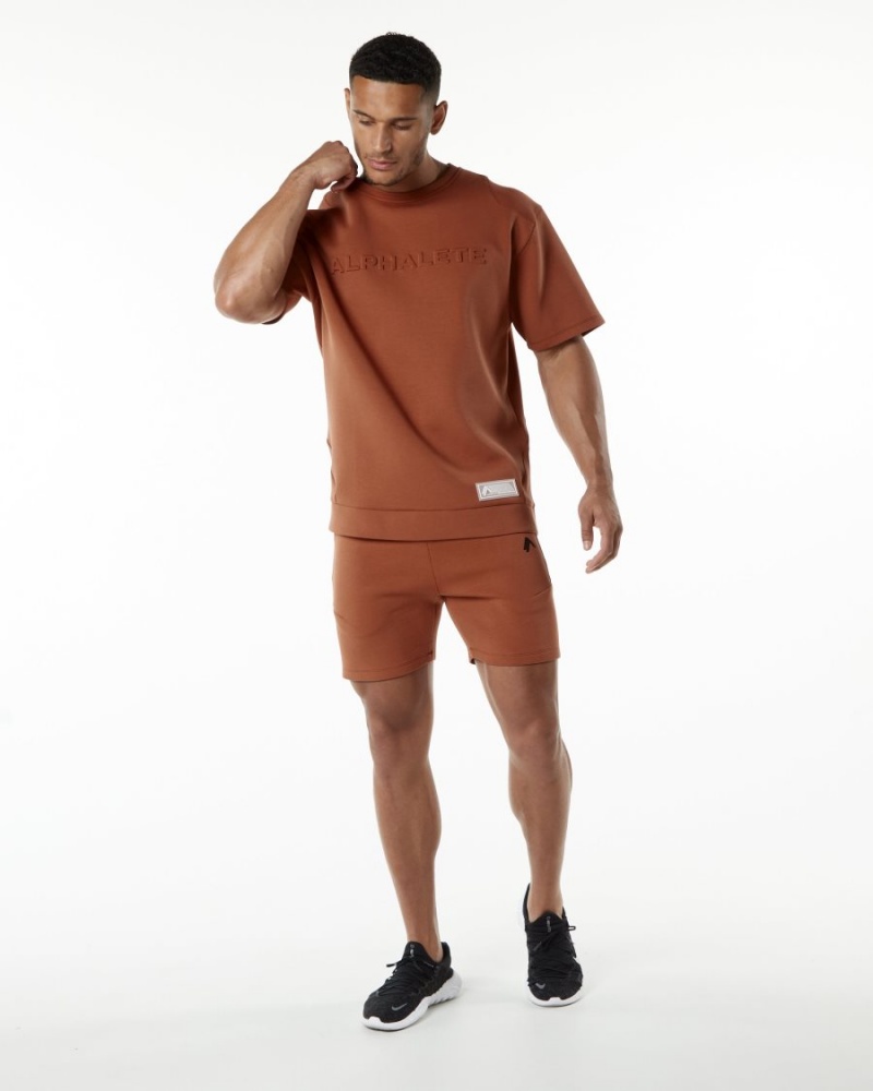 Vestes Alphalete ELMTS Half Sleeve Pullover Brick Homme | QXA-04993807