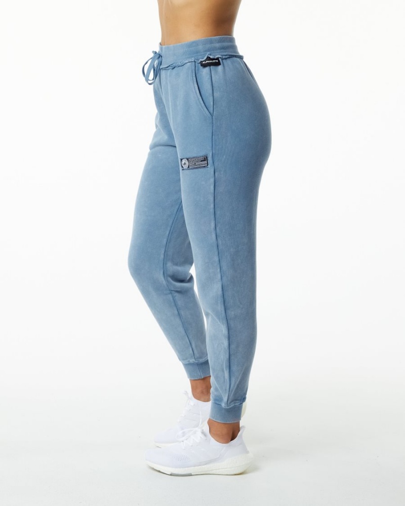 Pantalon Jogging Alphalete Very Terry Jogger Bleu Femme | LSD-85171982