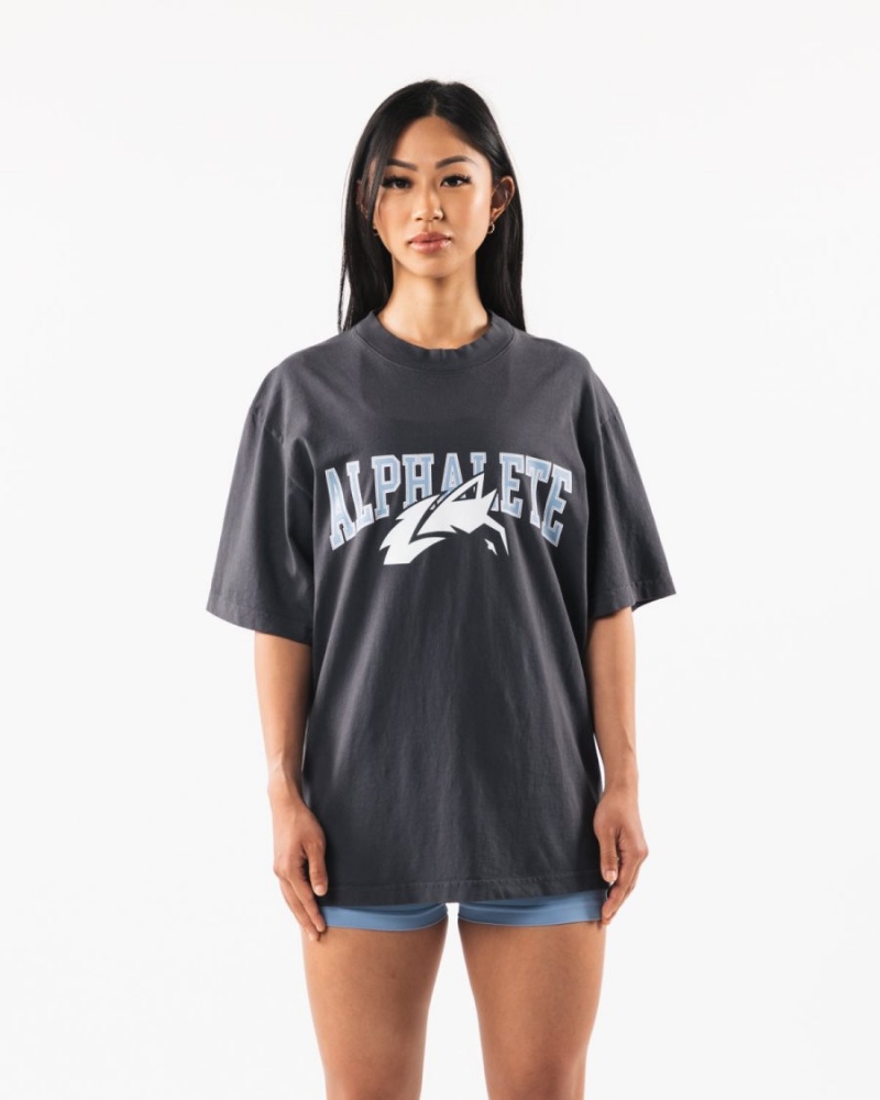 Chemises Alphalete Wolf Head Tee Bleu Femme | NLO-88230228