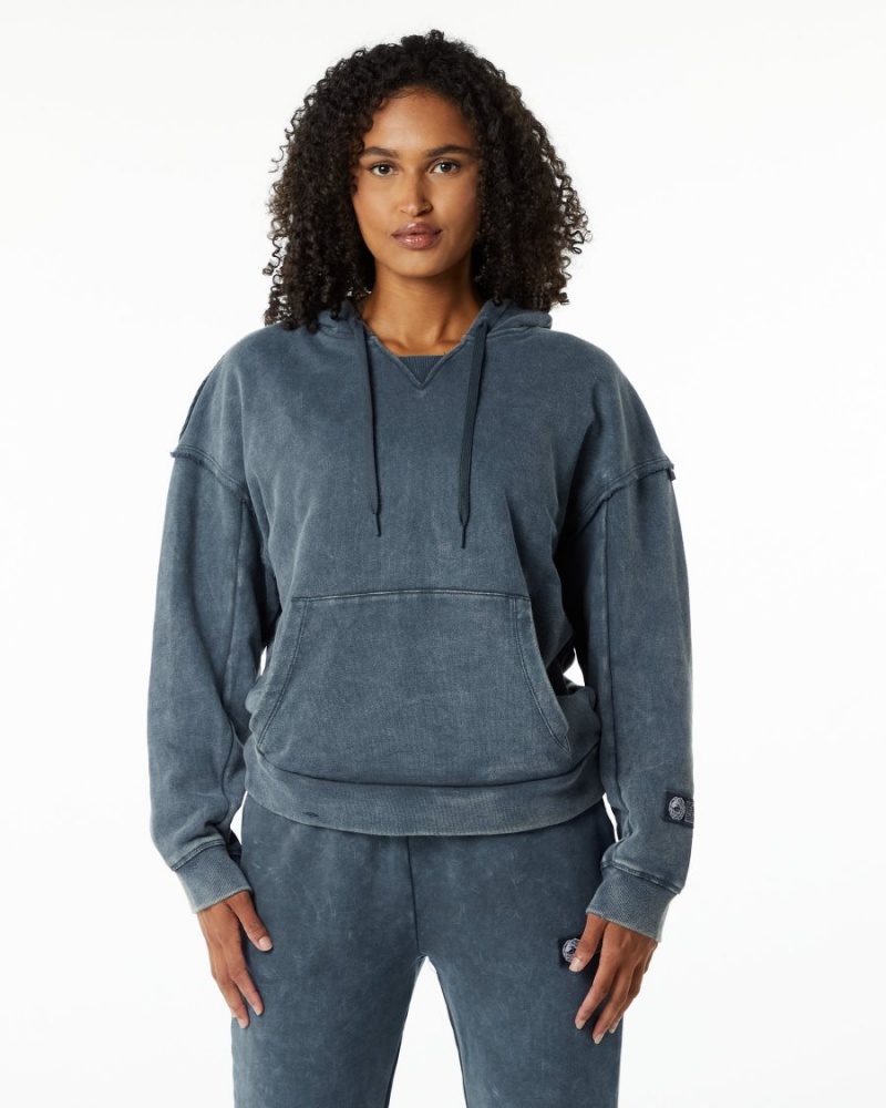 Sweat a Capuche Alphalete Very Terry Hoodie Bleu Femme | NZU-66247392