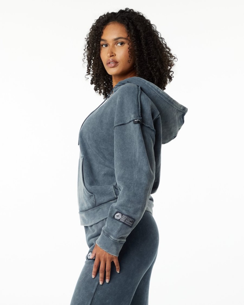 Sweat a Capuche Alphalete Very Terry Hoodie Bleu Femme | NZU-66247392