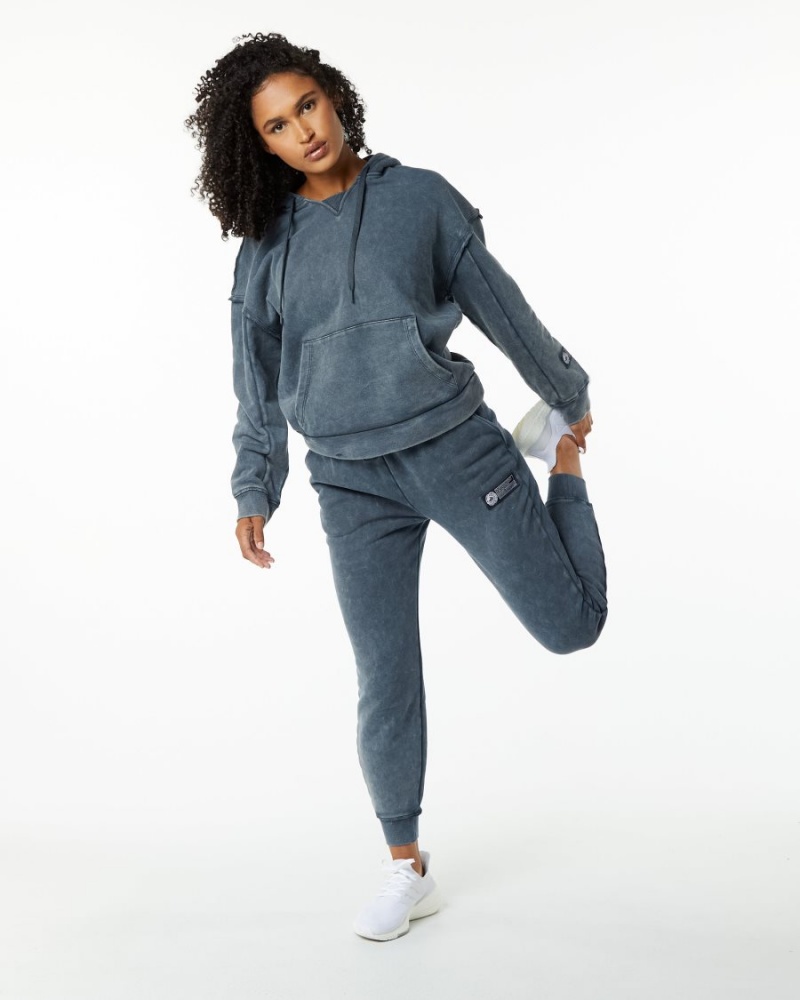 Sweat a Capuche Alphalete Very Terry Hoodie Bleu Femme | NZU-66247392