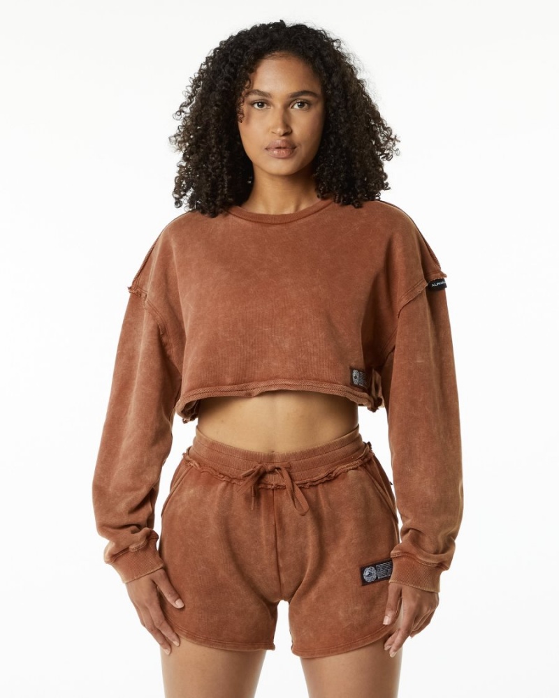 Vestes Alphalete Very Terry Crop Pullover Bloodstone Femme | JLL-12495198