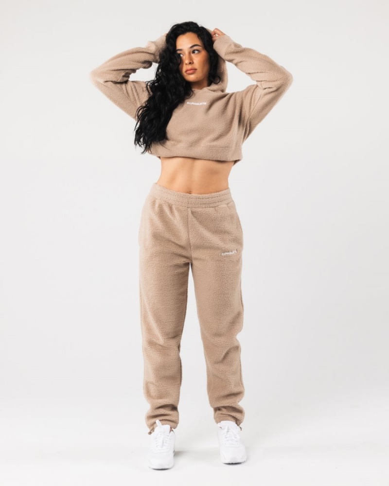 Sweat a Capuche Alphalete King Crop Hoodie Linen Femme | KWW-74204164