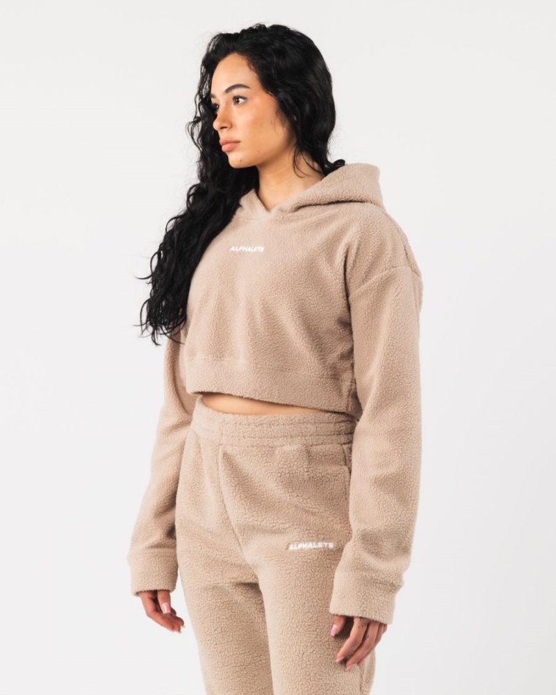 Sweat a Capuche Alphalete King Crop Hoodie Linen Femme | KWW-74204164