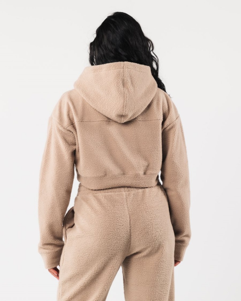 Sweat a Capuche Alphalete King Crop Hoodie Linen Femme | KWW-74204164