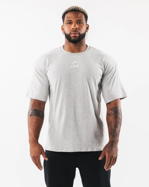 Chemises Alphalete Brushed Crest Tee Grise Homme | NSS-78803862