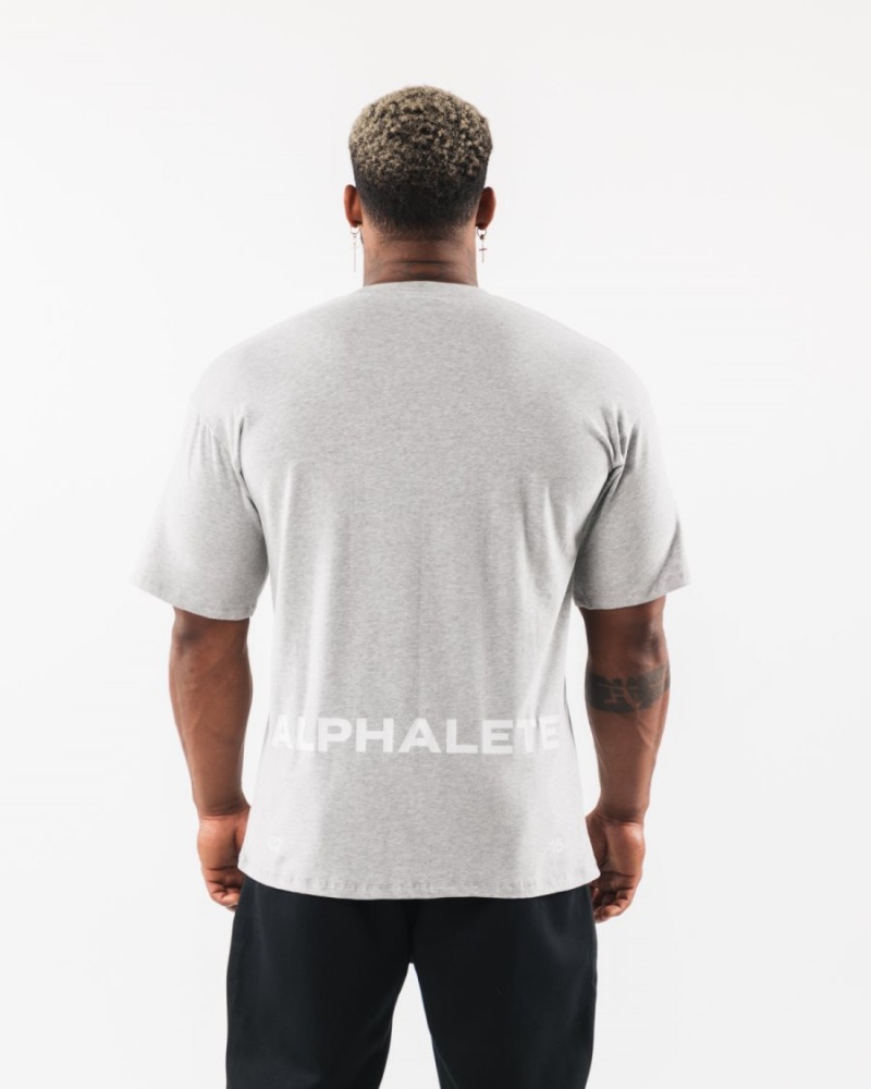 Chemises Alphalete Brushed Crest Tee Grise Homme | NSS-78803862