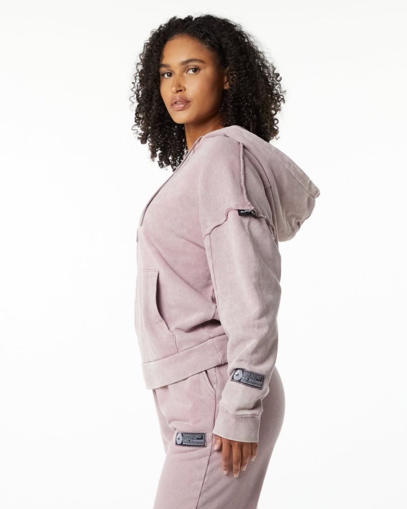 Sweat a Capuche Alphalete Very Terry Hoodie Rose Femme | PBE-87203896