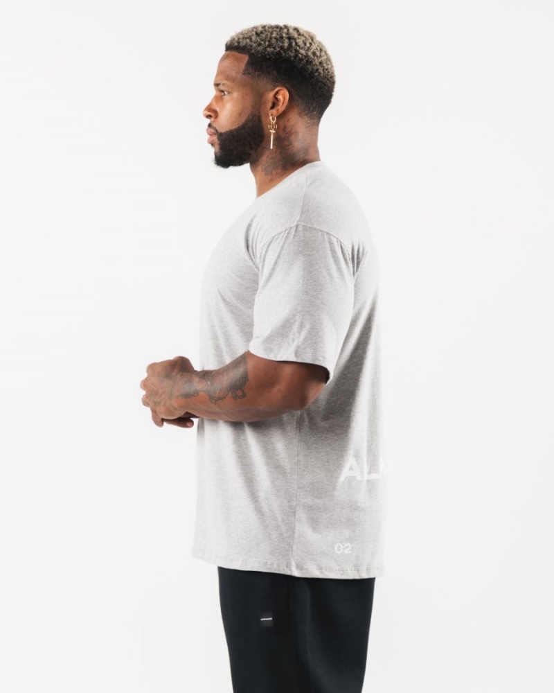 Chemises Alphalete Brushed Crest Tee Grise Homme | NSS-78803862