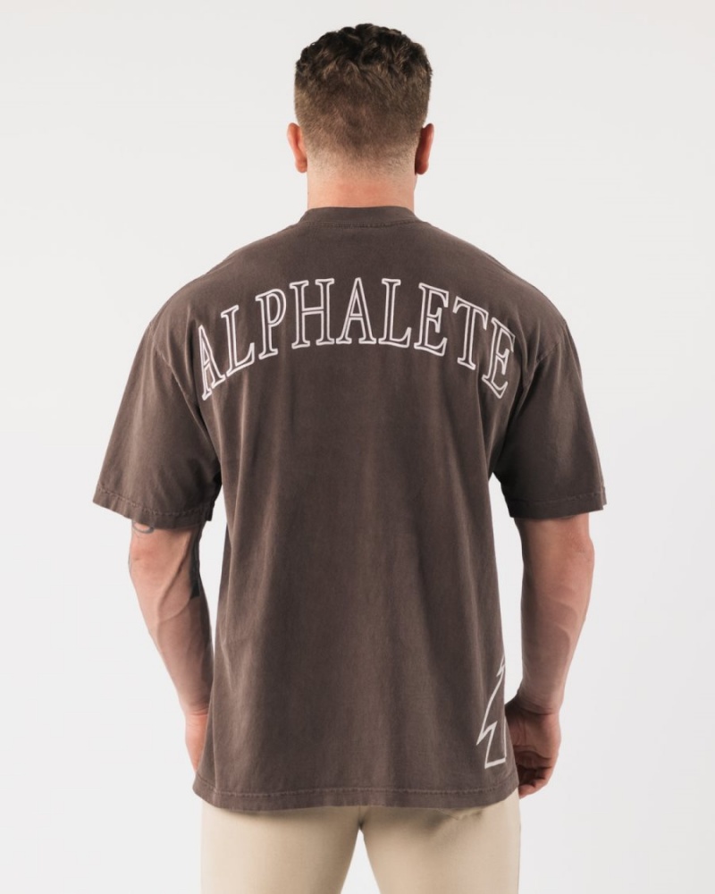 Chemises Alphalete Giant Wolf Head Tee Clove Homme | RGZ-69117308