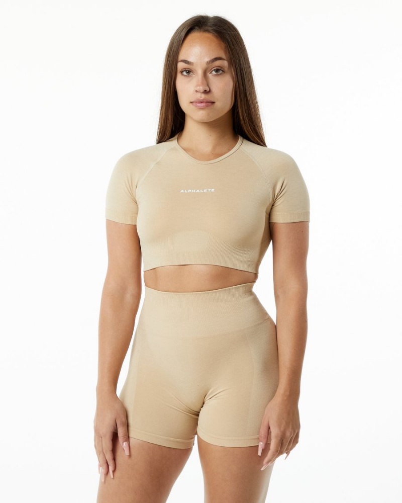 Chemises Alphalete Amplify V-Neck Crop Top Hazelnut Femme | MPD-18173845