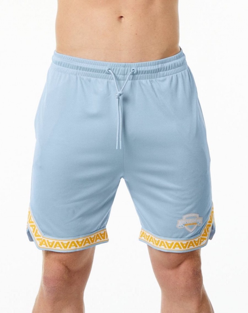 Short Alphalete Varsity Basketball Corta 9" Bleu Clair Homme | CUD-14792983