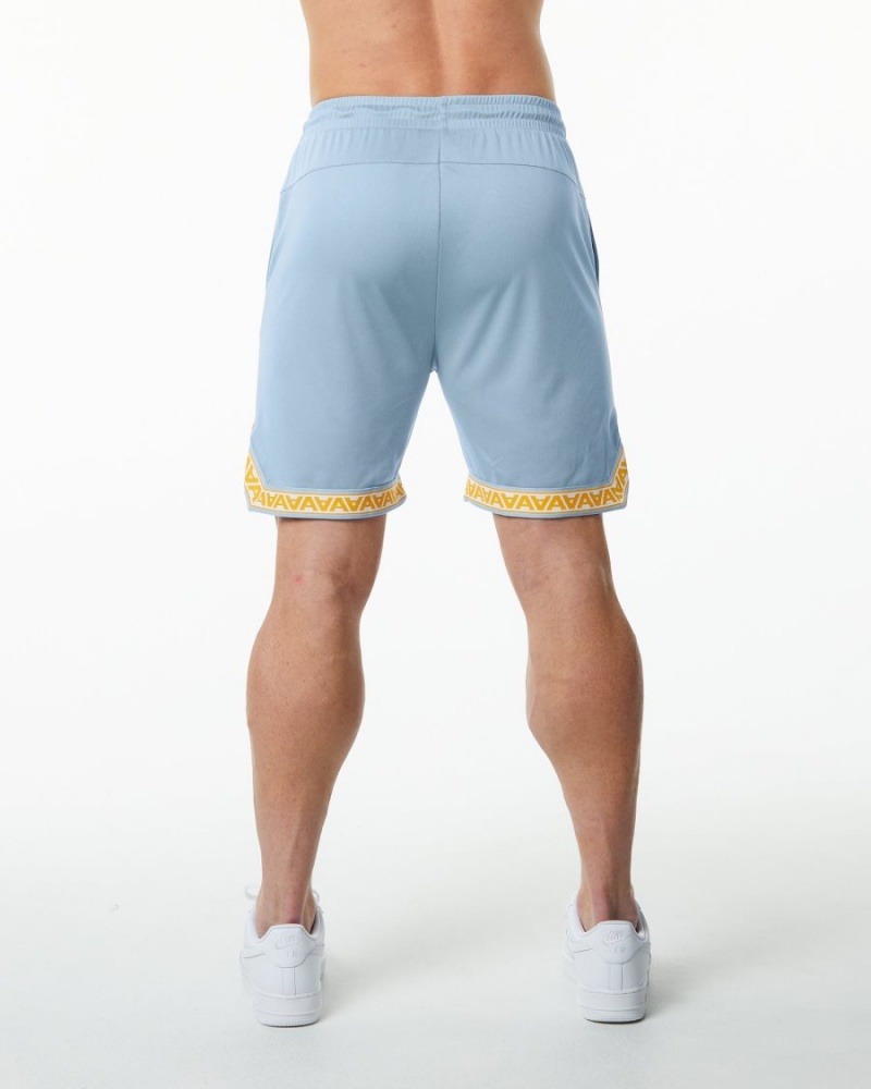 Short Alphalete Varsity Basketball Corta 9" Bleu Clair Homme | CUD-14792983