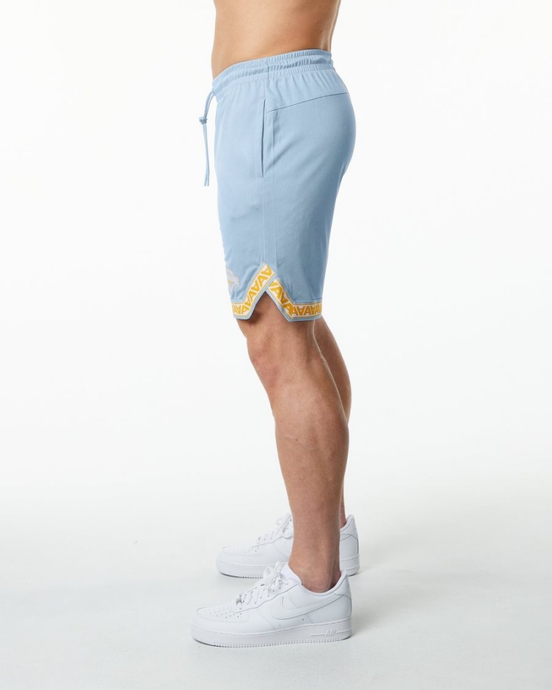 Short Alphalete Varsity Basketball Corta 9" Bleu Clair Homme | CUD-14792983