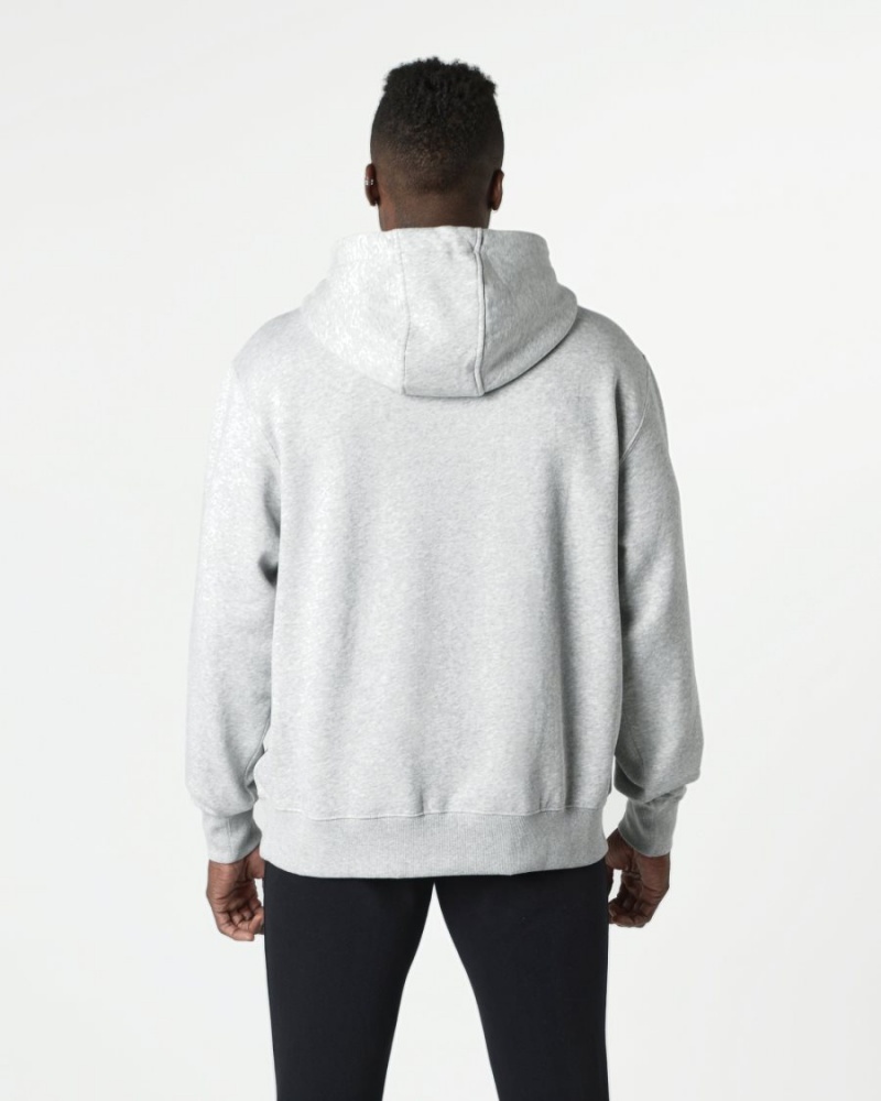 Sweat a Capuche Alphalete Core Hoodie Grise Homme | ESA-04838510