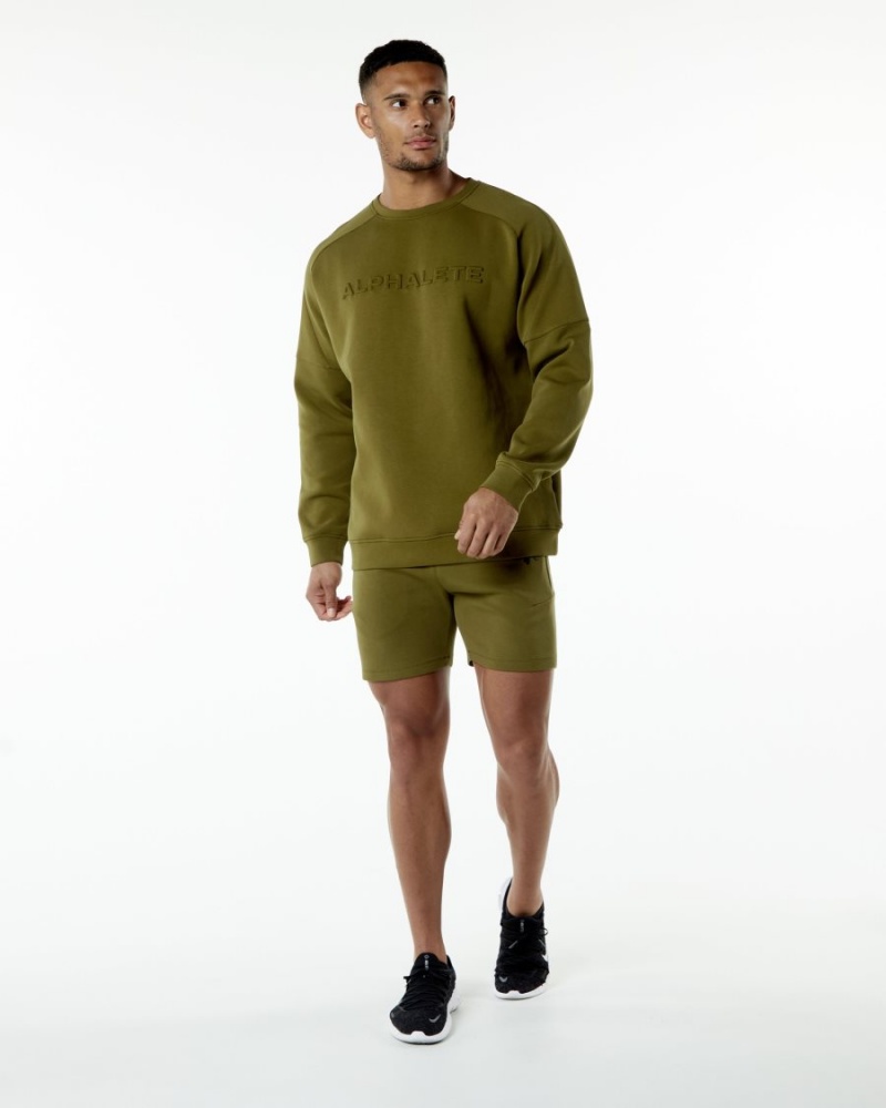 Vestes Alphalete ELMTS Crewneck Pull Moss Homme | WNI-83707936