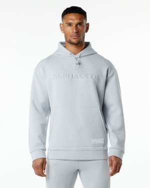 Sweat a Capuche Alphalete ELMTS Hoodie Grise Homme | JRA-67598337