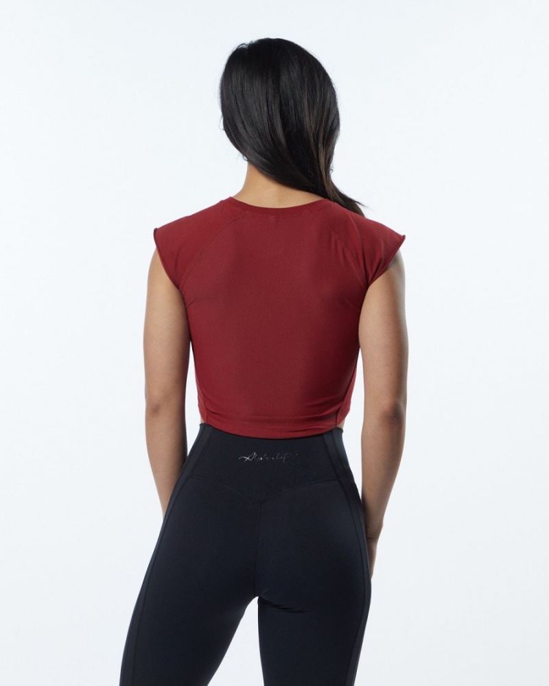 Chemises Alphalete Velocity Crop Tee Rouge Femme | BWX-02227674