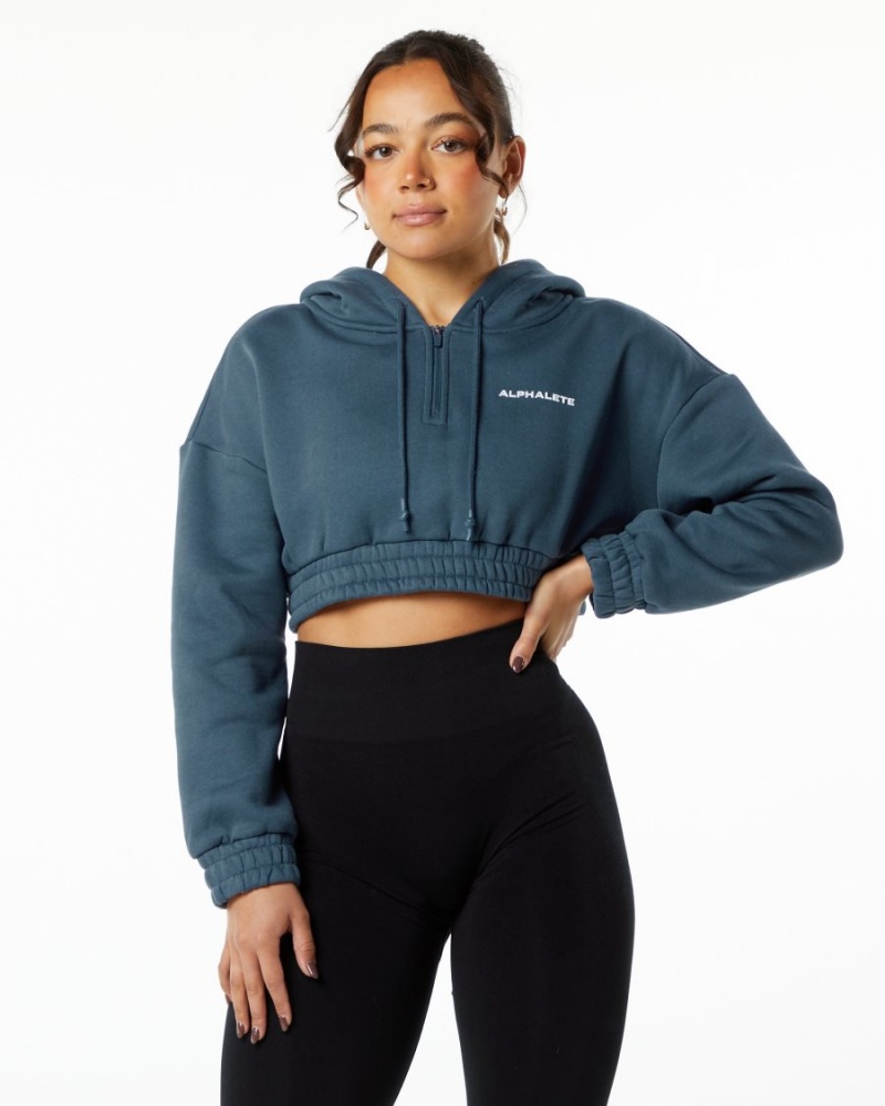 Sweat a Capuche Alphalete Classiche Capital Crop Hoodie Bleu Femme | WKP-67907889