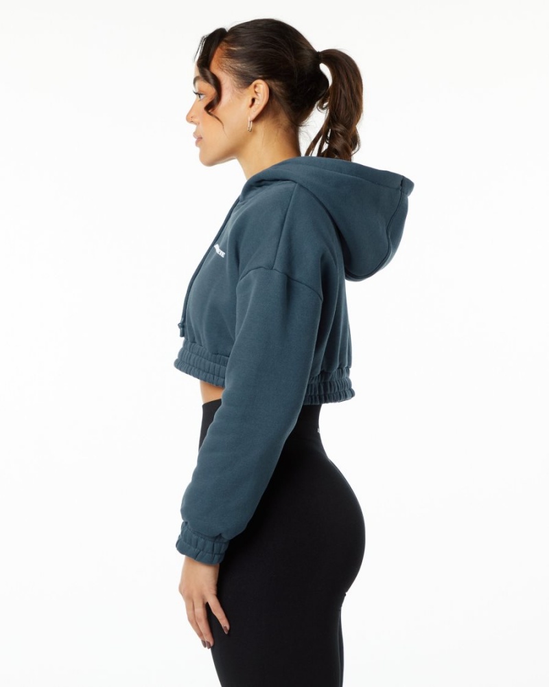 Sweat a Capuche Alphalete Classiche Capital Crop Hoodie Bleu Femme | WKP-67907889