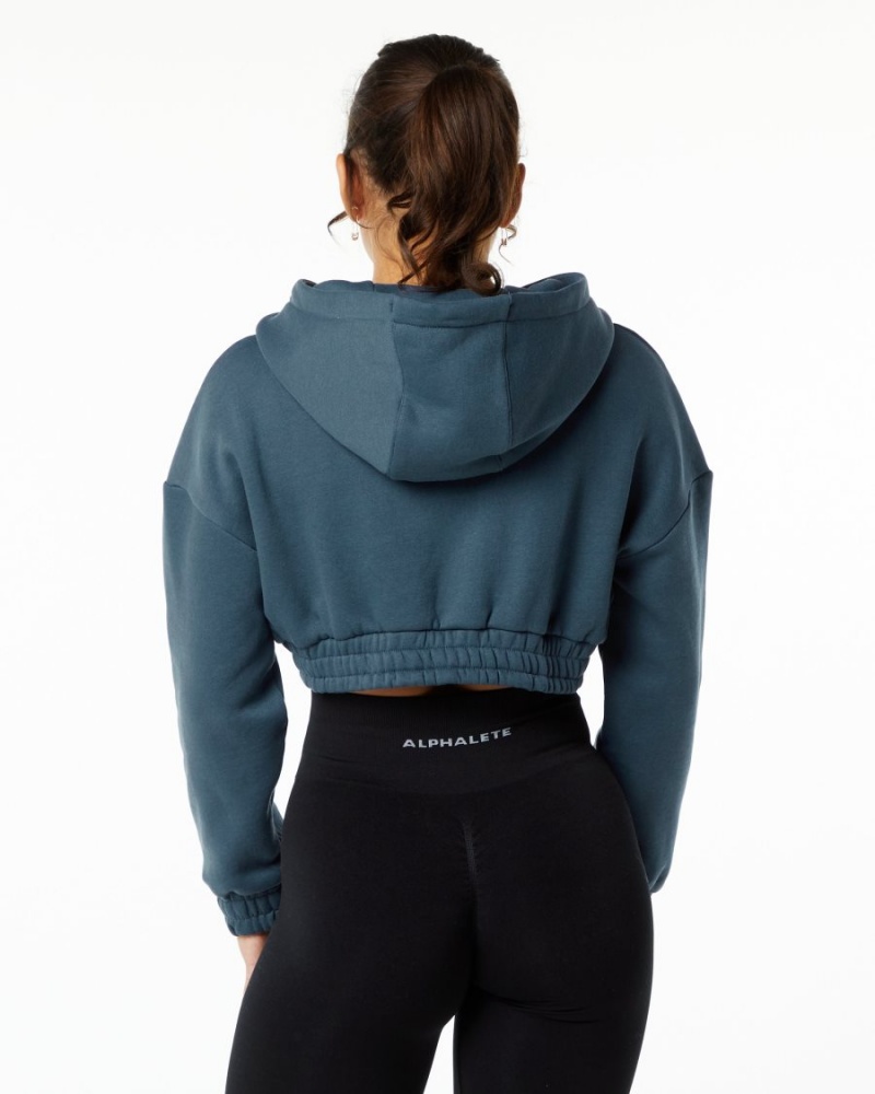 Sweat a Capuche Alphalete Classiche Capital Crop Hoodie Bleu Femme | WKP-67907889