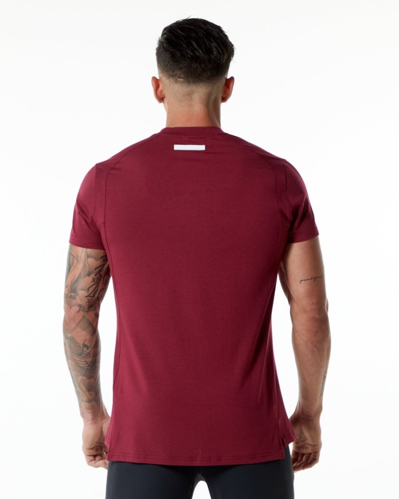 Chemises Alphalete Evo Tee Rouge Homme | JAX-09782341