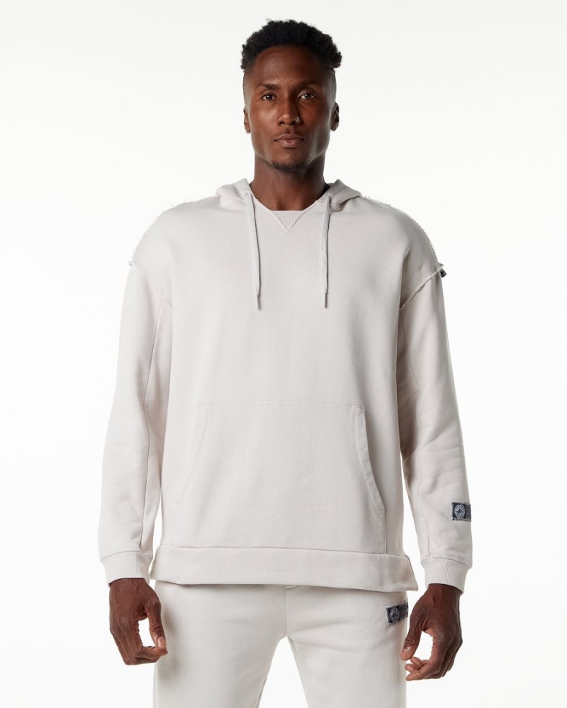 Sweat a Capuche Alphalete Very Terry Hoodie Moonstone Homme | XYM-72390876