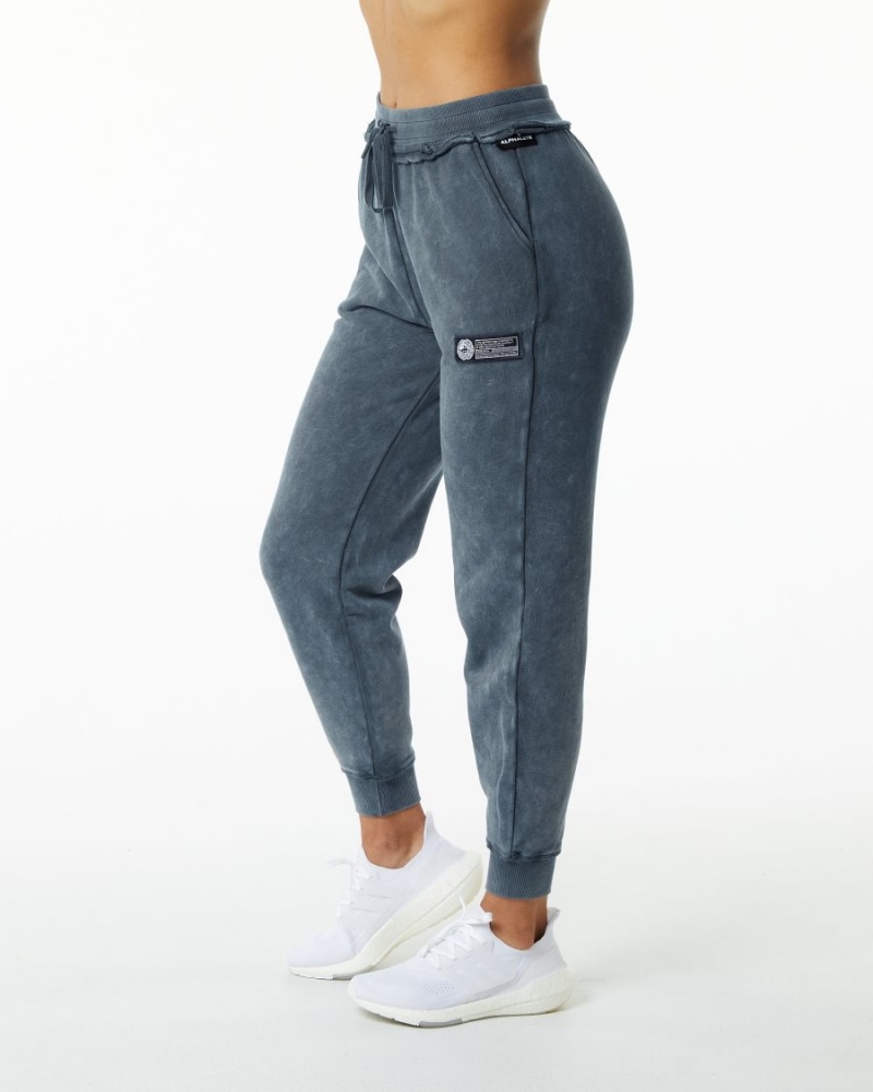 Pantalon Jogging Alphalete Very Terry Jogger Bleu Femme | BJF-69033374